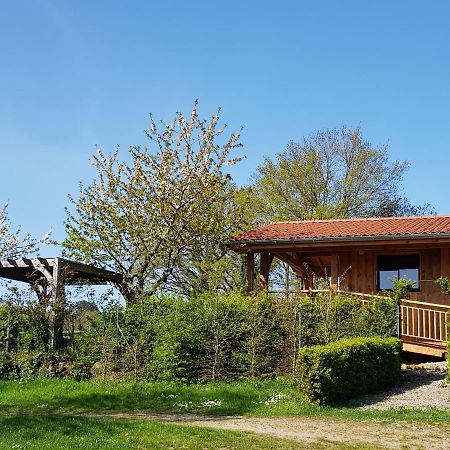 Villa La cabane du jardin à Bongheat Extérieur photo