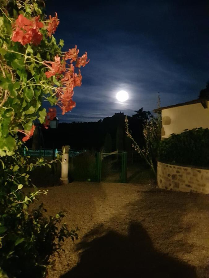 Villa La cabane du jardin à Bongheat Extérieur photo