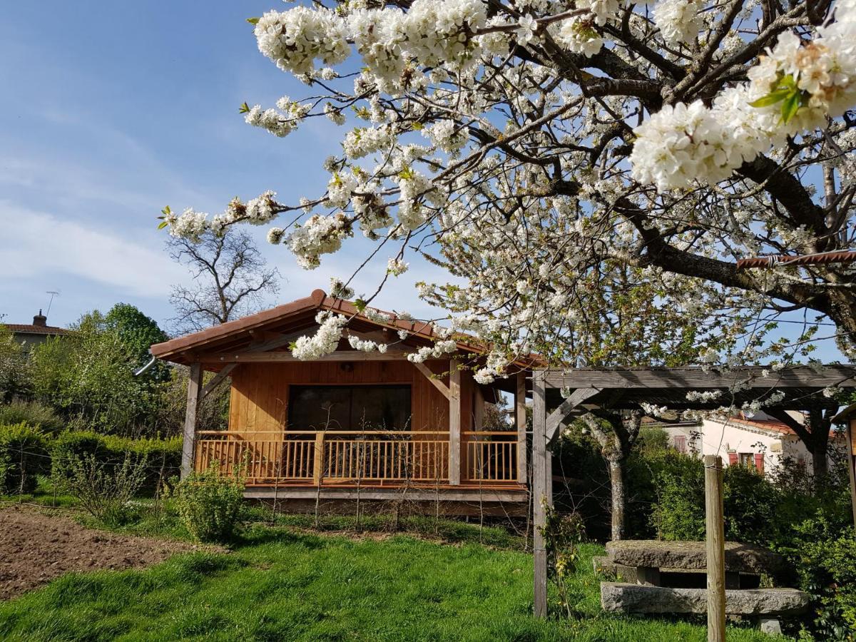 Villa La cabane du jardin à Bongheat Extérieur photo